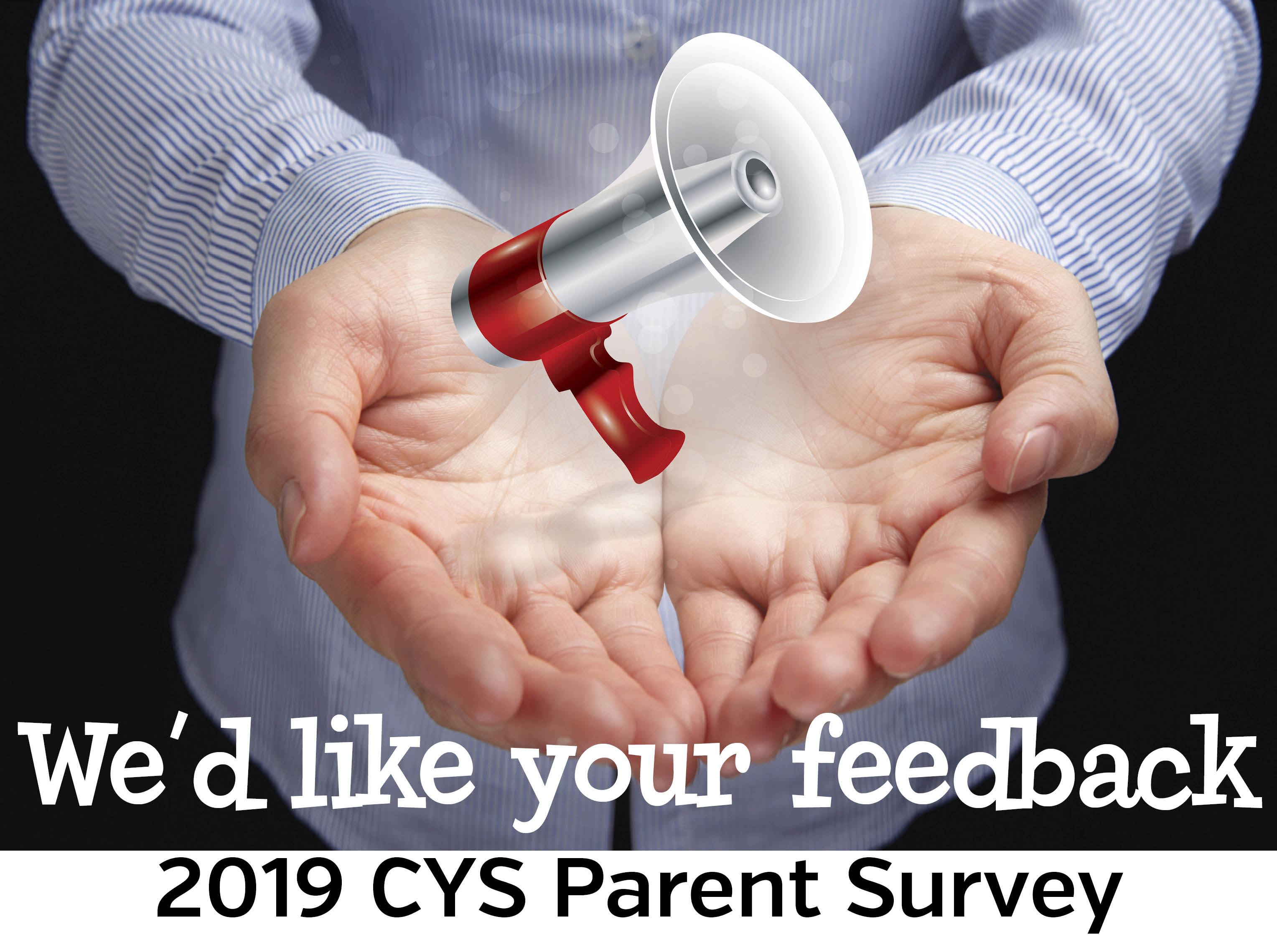 2019 Parent Survey