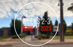 Term 1 | Weeks 2-3