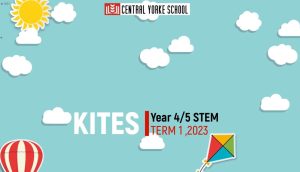 4/5 STEM | Kites