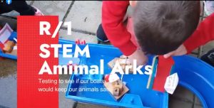 R/1 STEM - Animal Arks