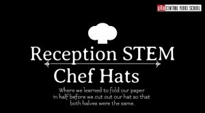 1 STEM | Chef Hats