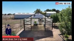 Glasshouse Presentation