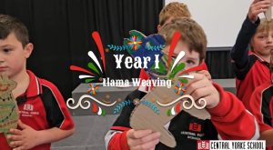 1 STEM | Llama Weaving