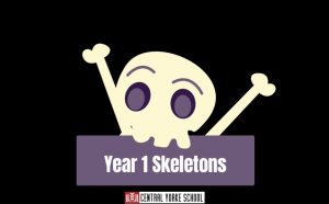 1 Visual Arts Skeletons