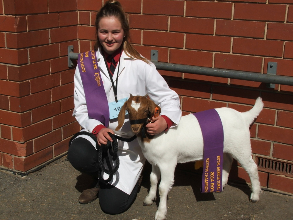 Reserve Champion, 2014