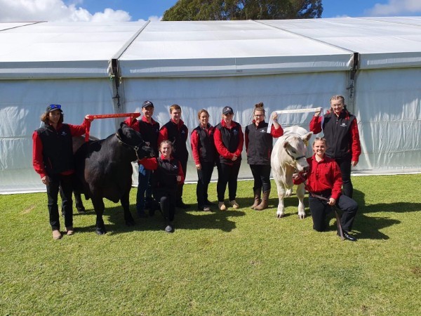 Led Steer Team, 2019